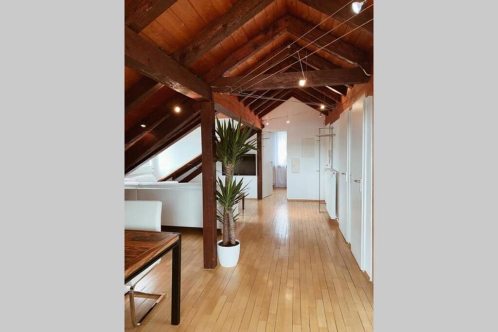 Apartamento *Dreilaendereck* Wifi+ Balkon+Garage Basel Mulhouse Maulburg Exterior foto