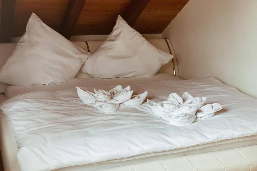Apartamento *Dreilaendereck* Wifi+ Balkon+Garage Basel Mulhouse Maulburg Exterior foto
